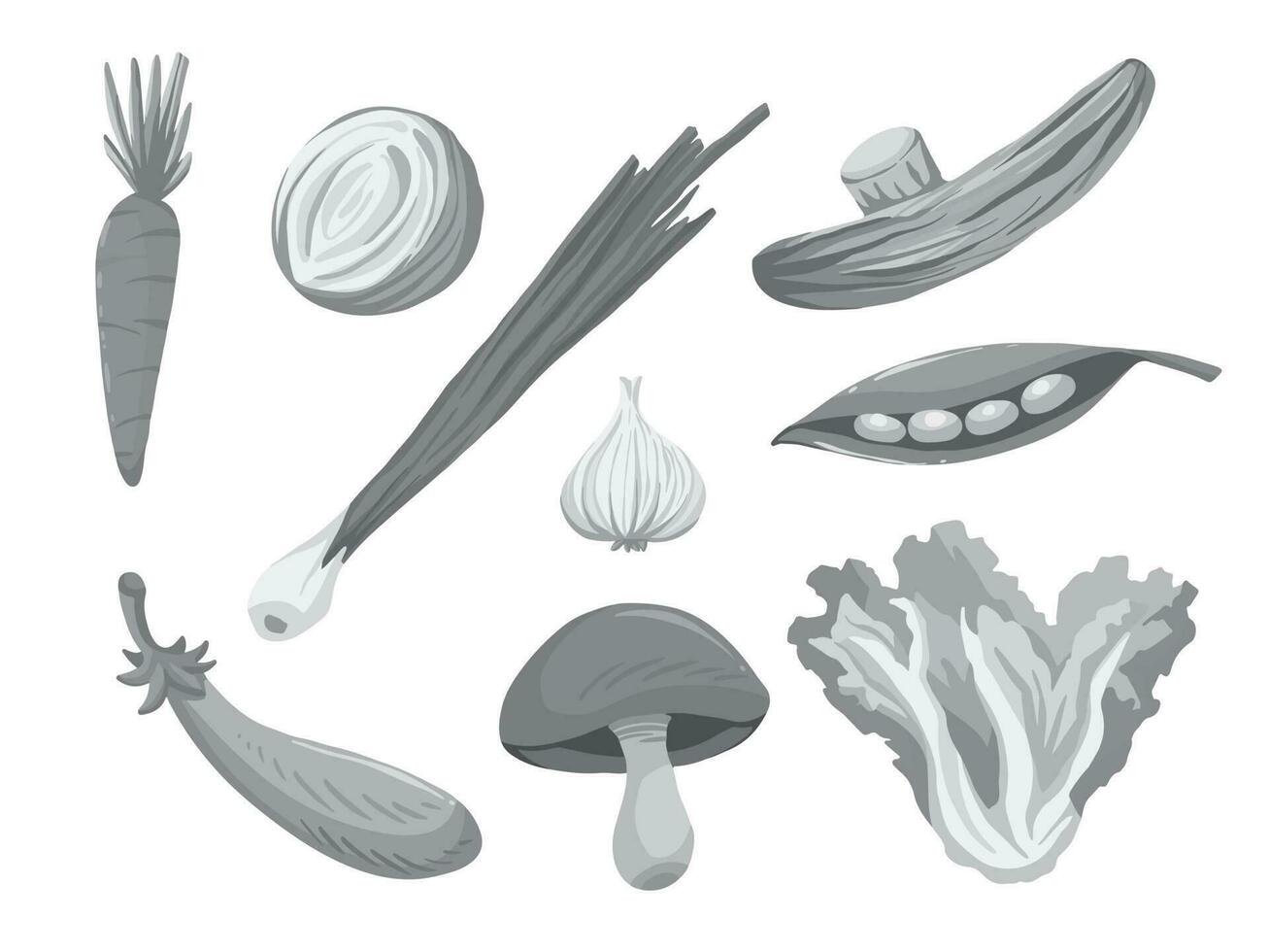 Grayscale raw vegetable ingredients set collection isolated on white horizontal background. Monochrome shades of gray simple and flat styled drawing. vector