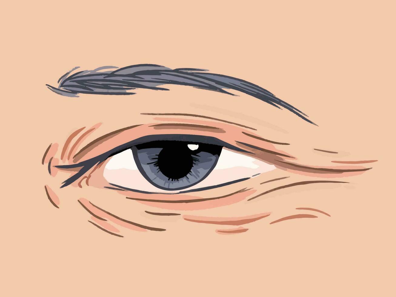 Face or skin wrinkles around eye area close up vector illustration isolated on skin colored horizontal background. Simple flat art styled of aged or old human skin.