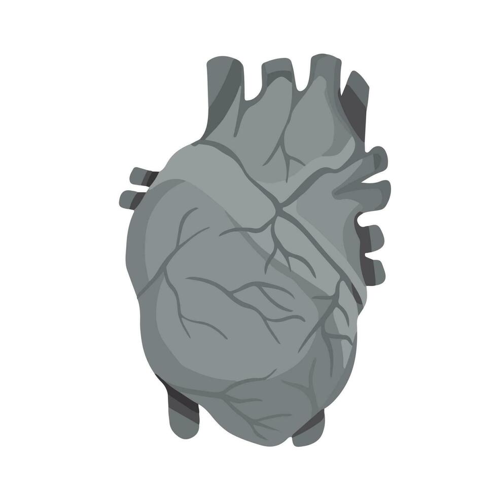 Grayscale human heart vector illustration isolated on white square background. Monochrome shades of gray simple and flat styled drawing.