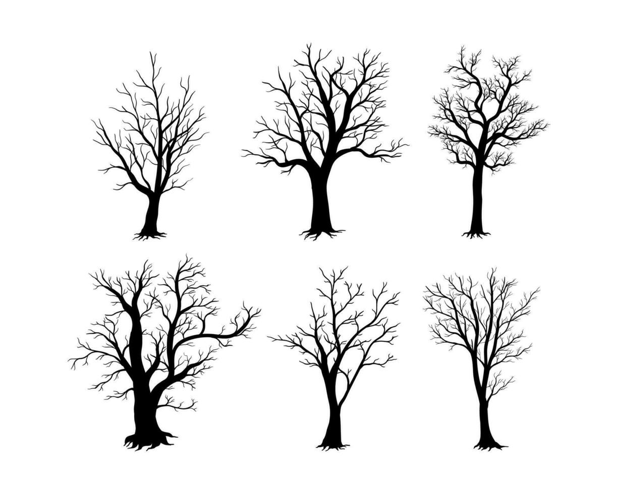 Bare tree silhouette isolated on white background vector