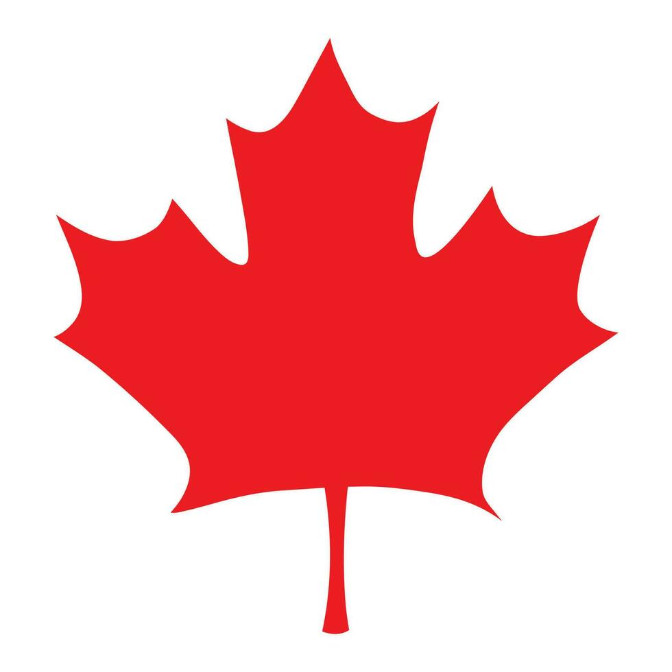 Canadian Maple Leaf, Hand Draw Illustration vector