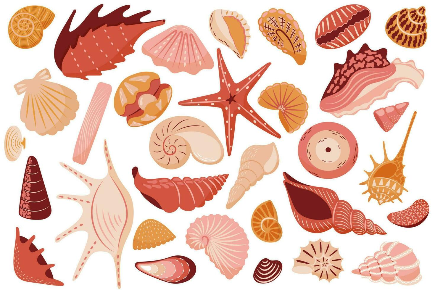 Set of various sea shells. Starfish, shellfish, underwater world vector