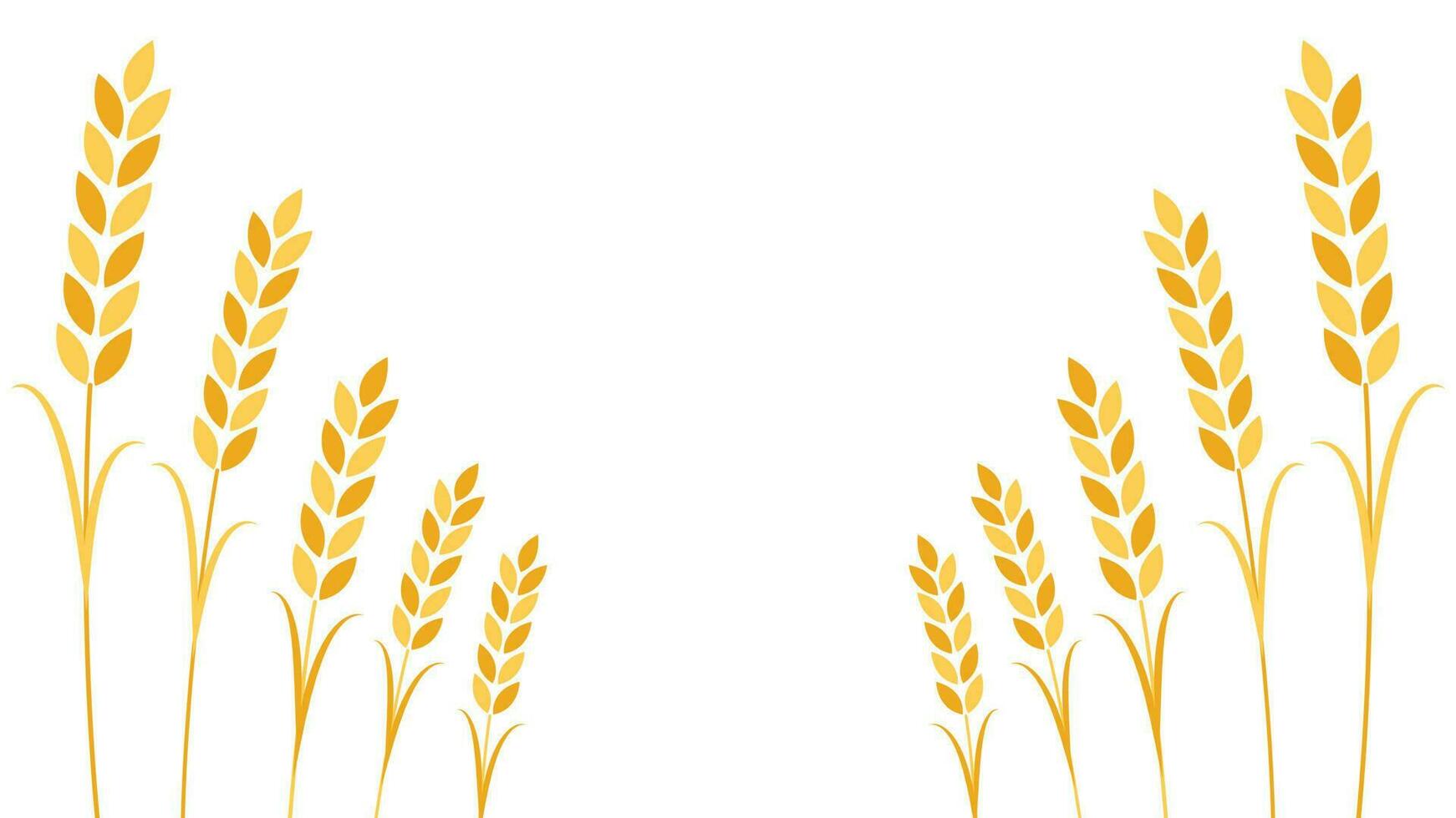 Wheat pattern wallpaper. oat symbol. free space for text. rice sign. Rice pattern wallpaper. vector