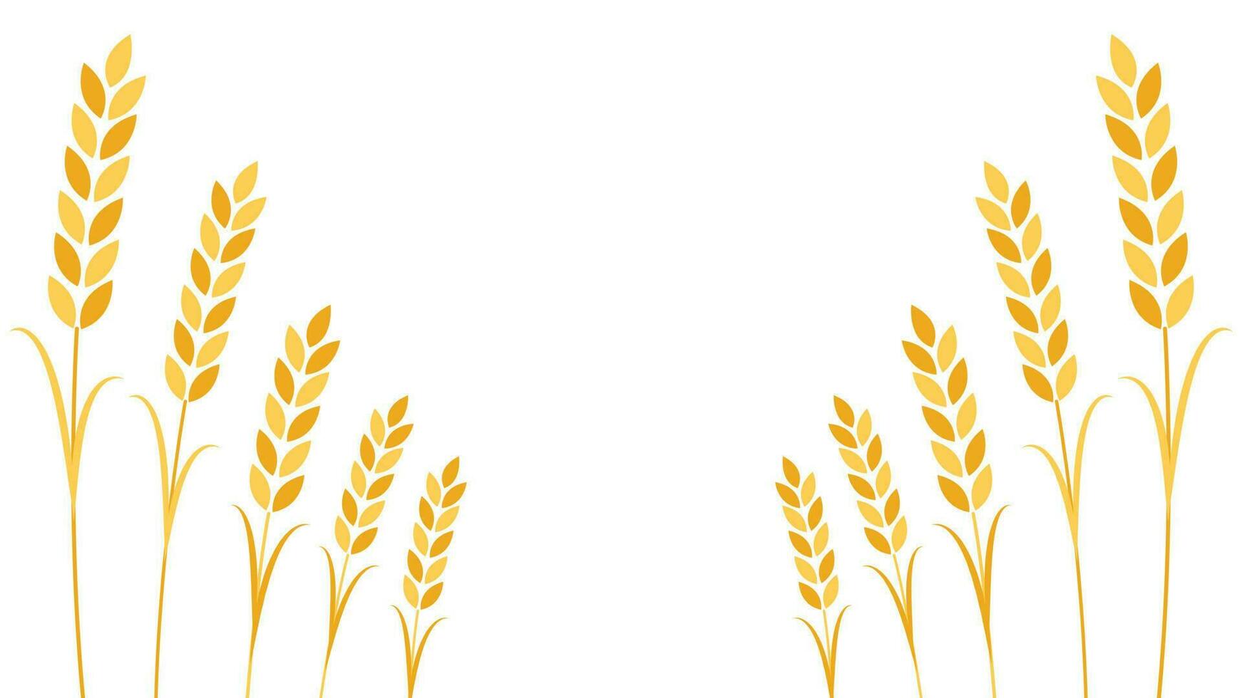 Wheat pattern wallpaper. oat symbol. free space for text. rice sign. Rice pattern wallpaper. vector