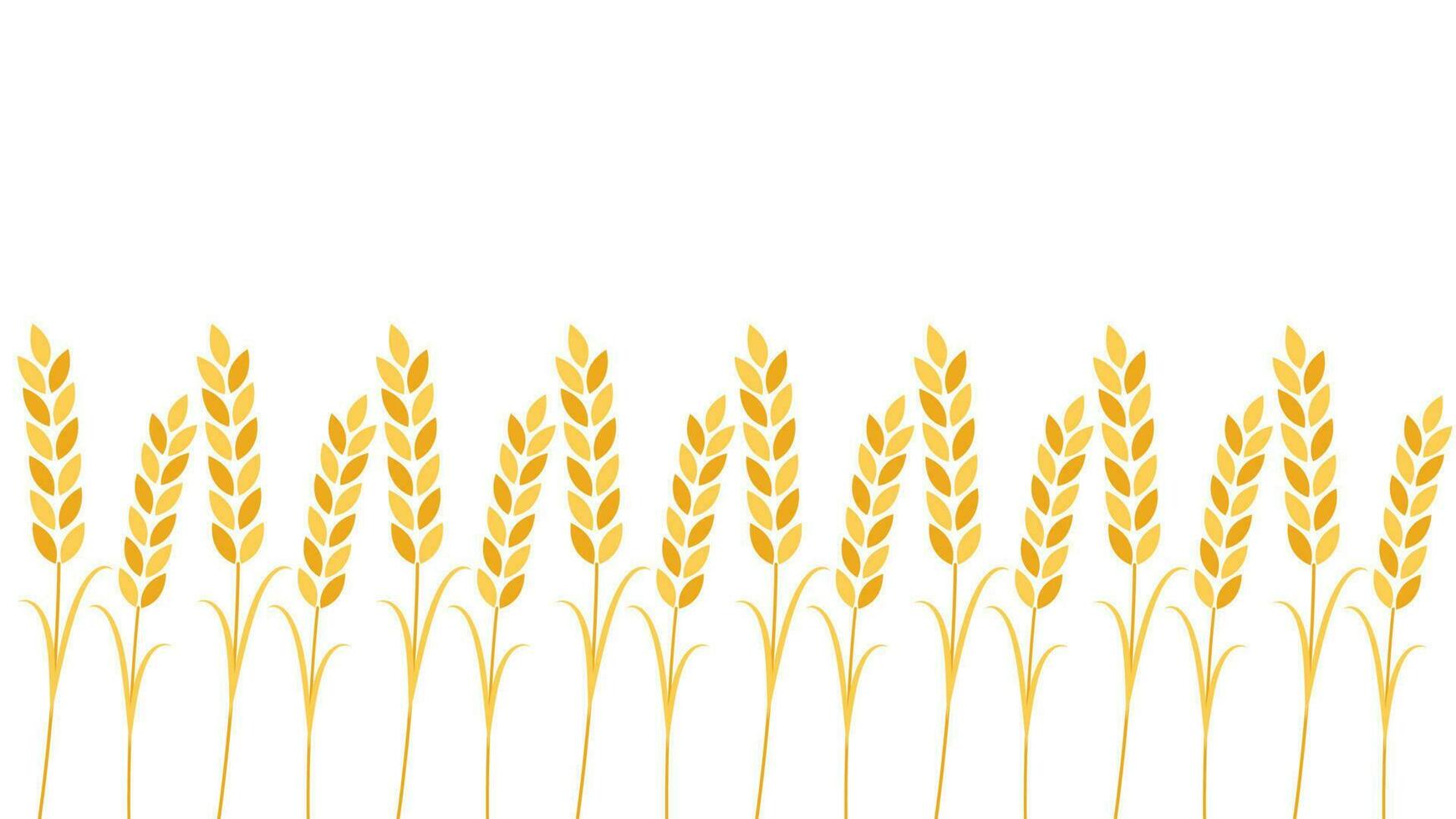 Wheat pattern wallpaper. oat symbol. free space for text. rice sign. Rice pattern wallpaper. vector