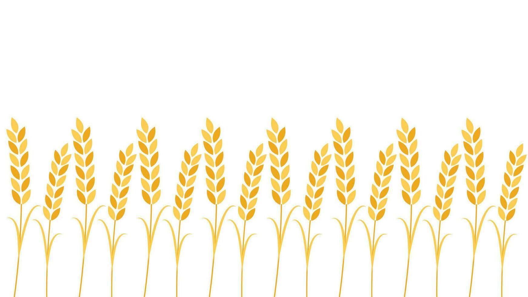 Wheat pattern wallpaper. oat symbol. free space for text. rice sign. Rice pattern wallpaper. vector