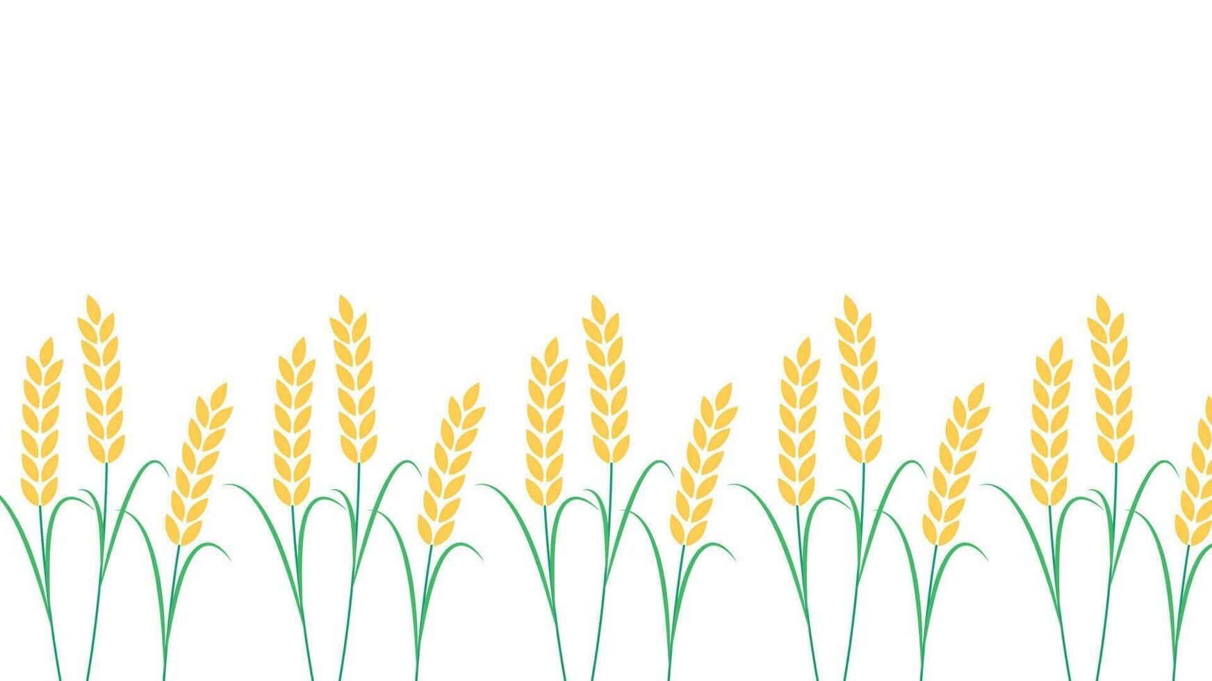 Wheat pattern wallpaper. oat symbol. free space for text. rice sign. Rice pattern wallpaper. vector