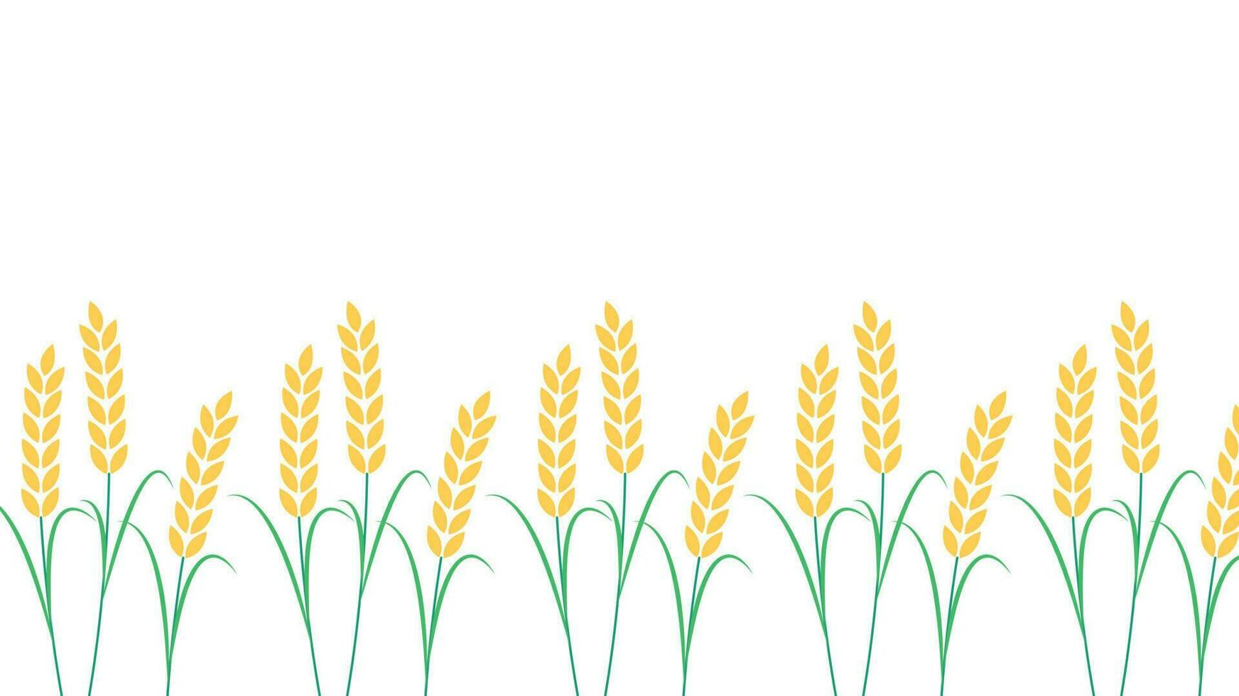 Wheat pattern wallpaper. oat symbol. free space for text. rice sign. Rice pattern wallpaper. vector