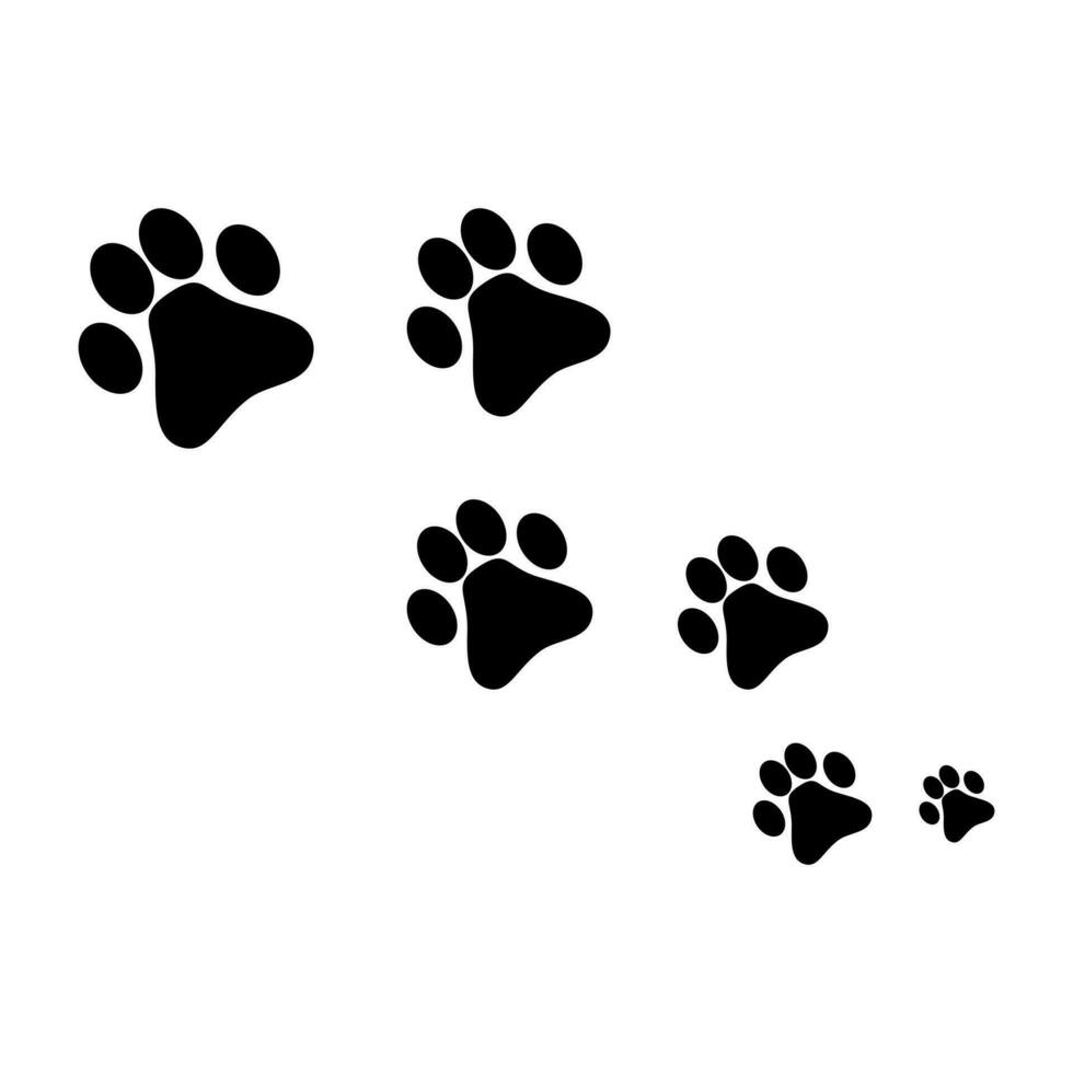 Paws walking animal dog cat vector