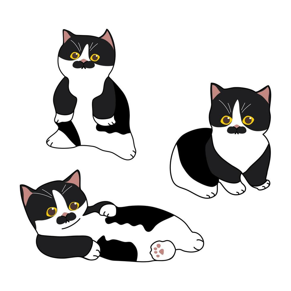 black and white cat with cute mustache set vector