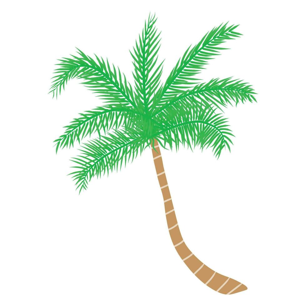 Tropical palm tree. Vector illustration