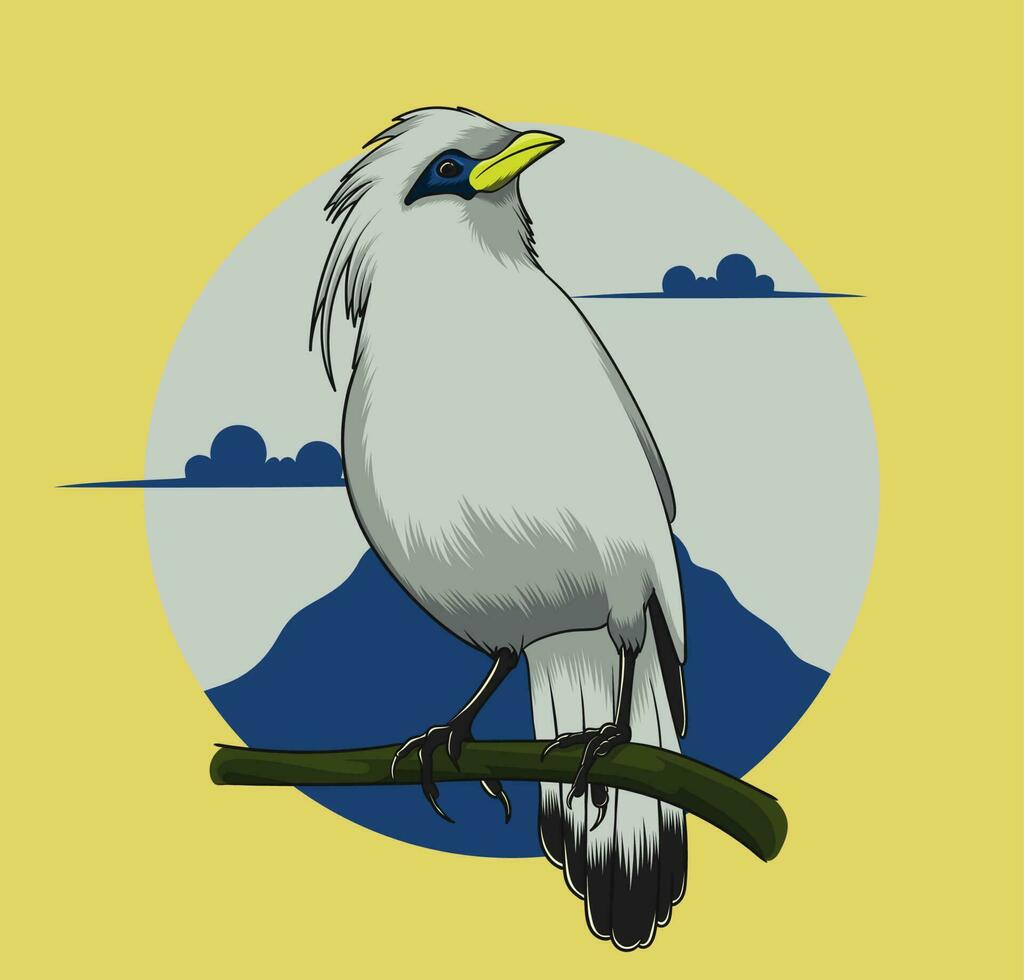 Balinese starling bird on a branch vector