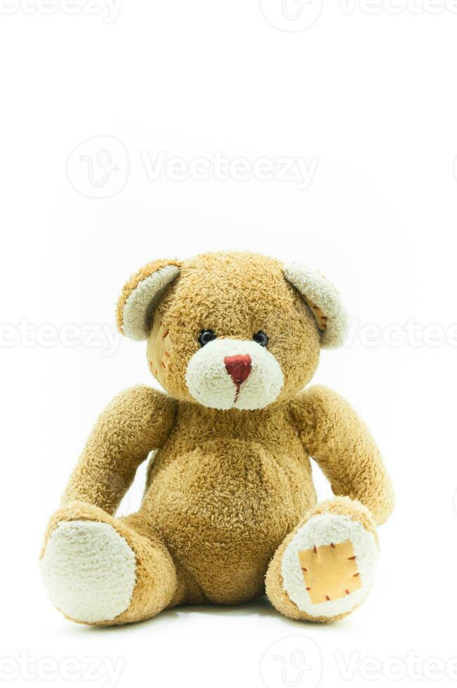Brown Teddy Bear toy sitting on White background photo