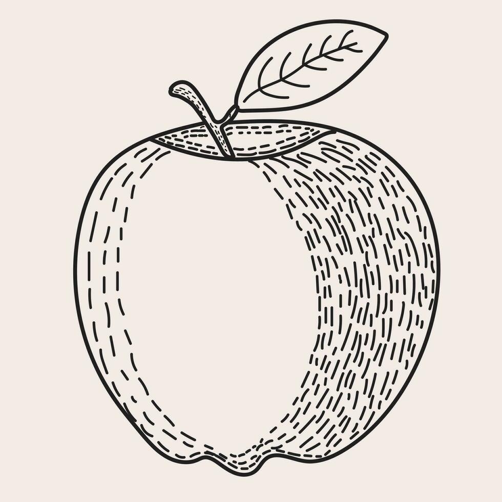 apple line art for packaging vector