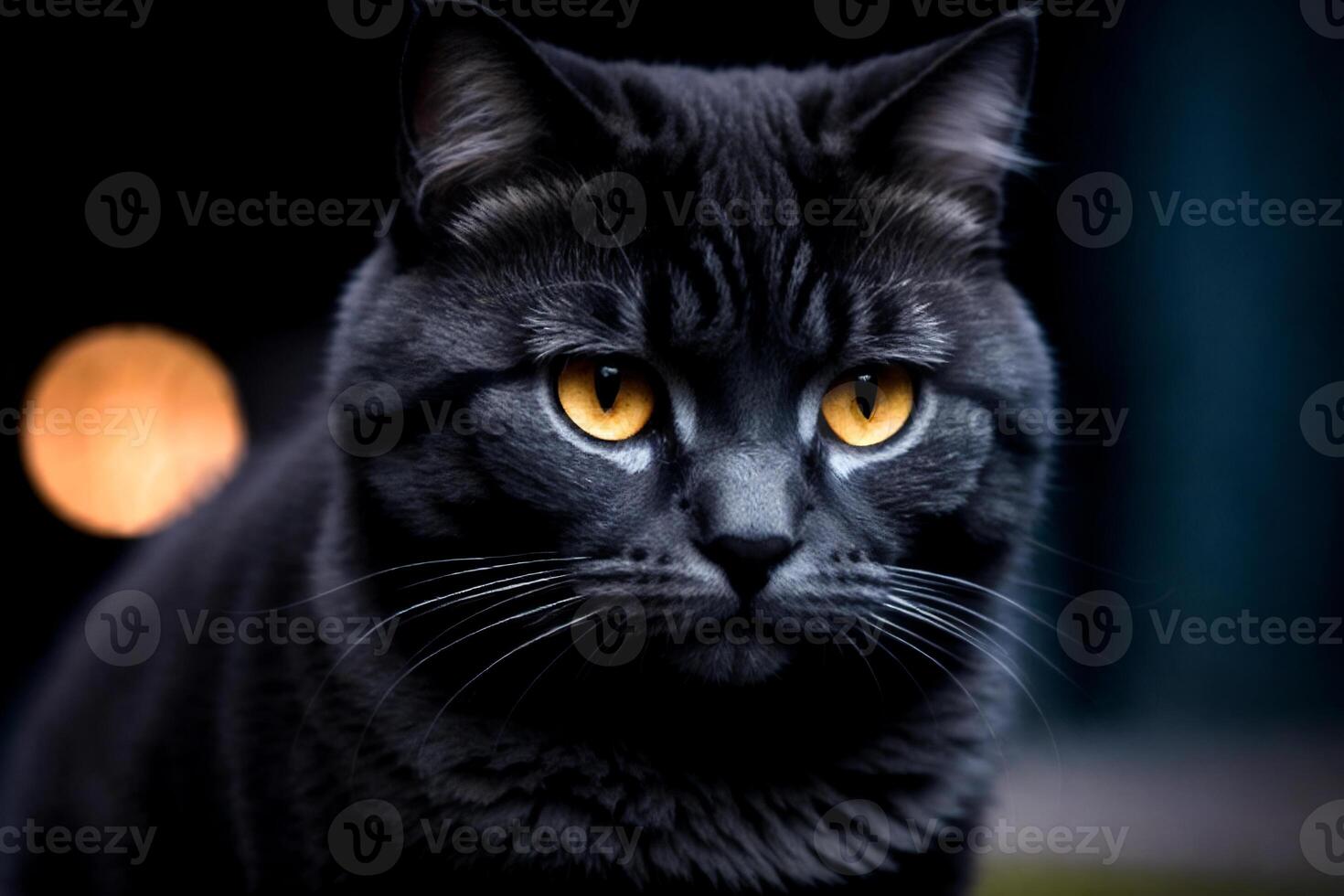 un negro gato con amarillo ojos mira a el cámara en contra un borroso antecedentes de luces en el fondo, neoísmo. generativo ai, generativo, ai foto