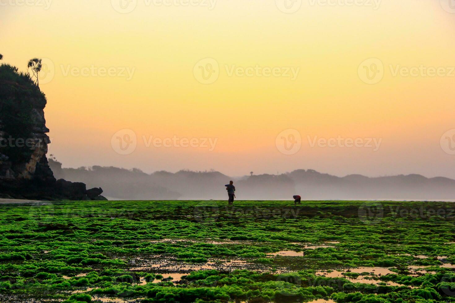 Panoramic seaview with green coral stones and cliffs at sunrise, Sepanjang Beach, Indonesia photo