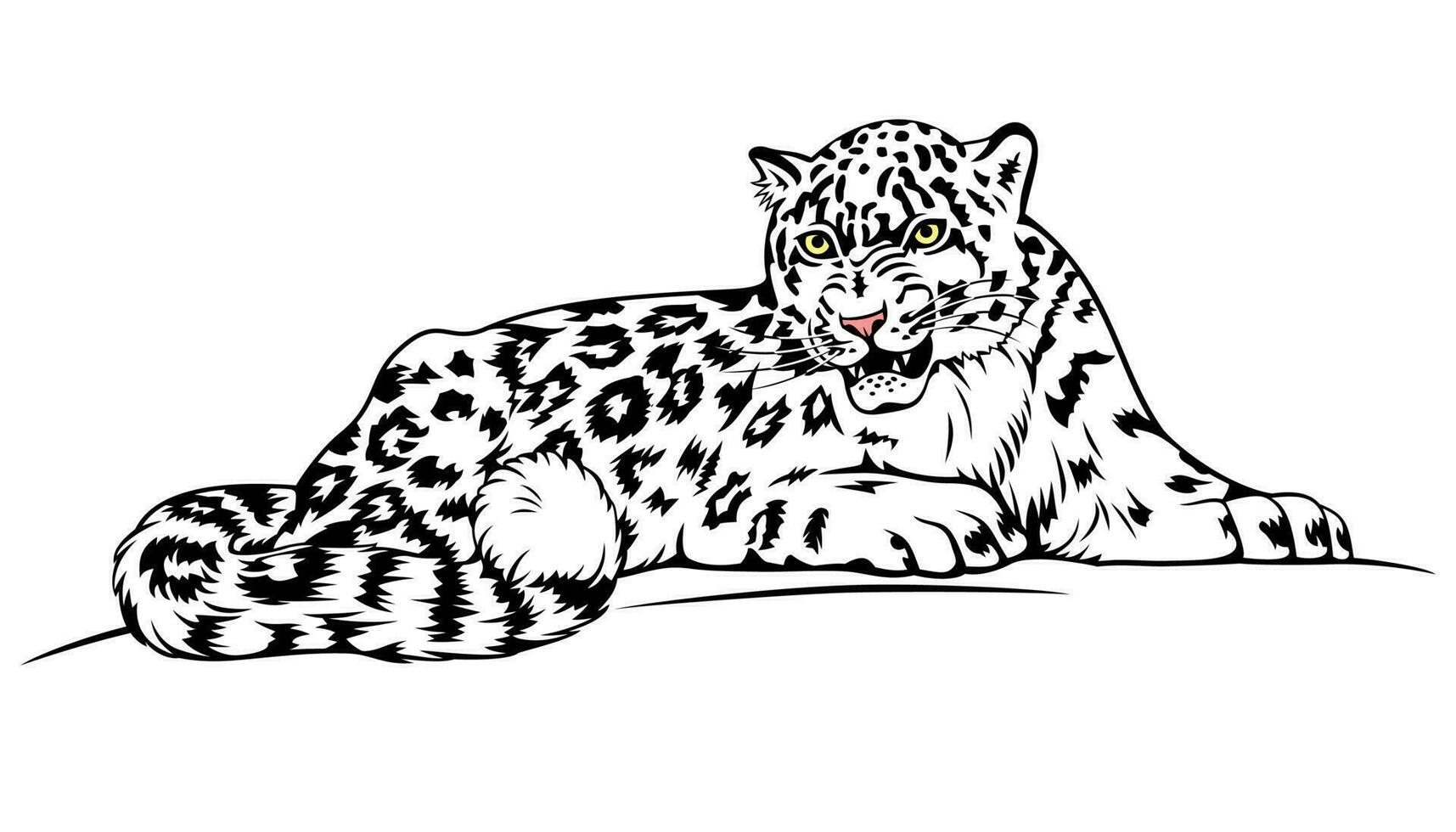 Snow Leopard. Vector clipart isolated on white.