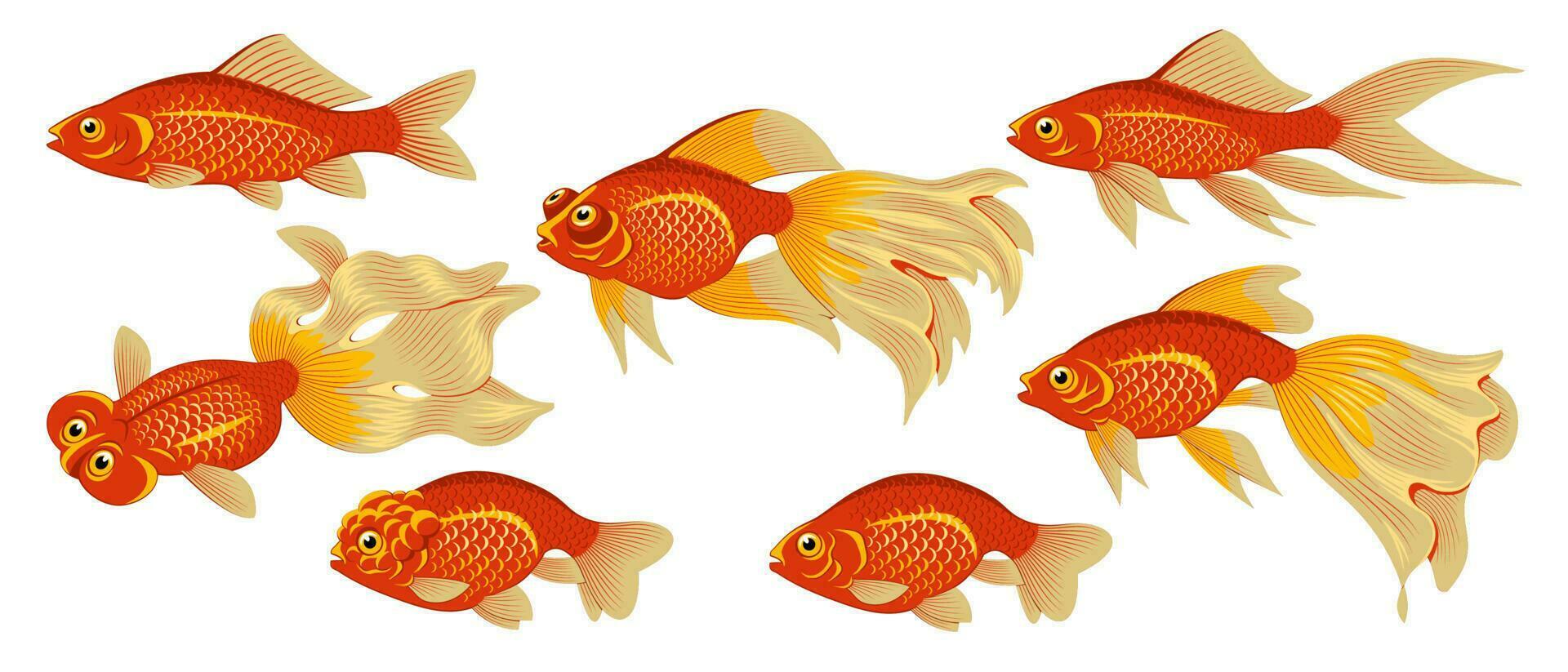 Goldfish Species Set. Vector clipart isolated on white.