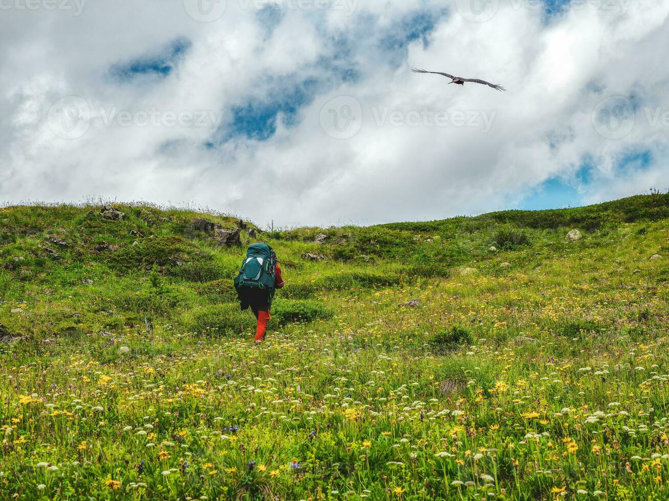 Traveler with large green backpack go to up in green valley. Hiking in highlands. Amazing vivid mountain landscape of majestic nature. Man climb on high. photo
