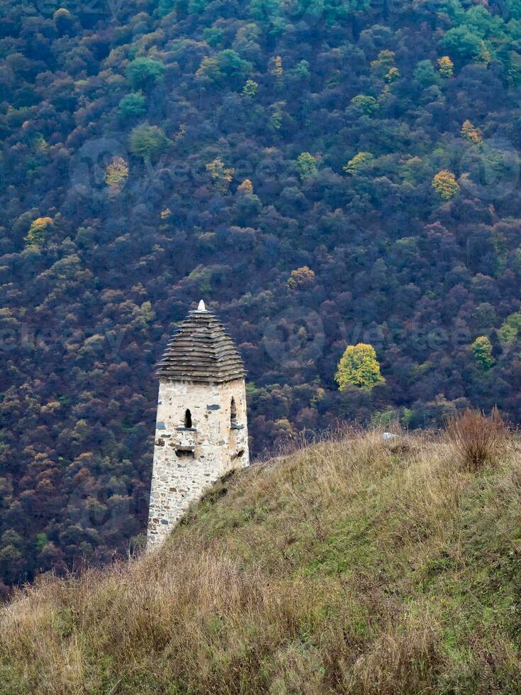 batalla torres erzi en el jeyrah garganta. medieval torre complejo erzi, uno de el mas grande medieval tipo castillo torre pueblos, situado en el extremidad de el montaña rango en ingushetia, Rusia. foto