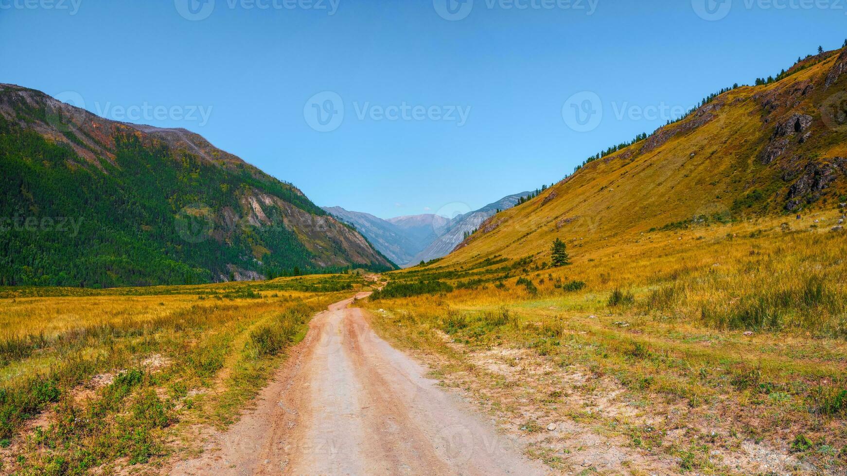 camino mediante montañas. trekking montaña camino. brillante panorámico alpino paisaje con suciedad la carretera entre pastos en tierras altas. ruta cuesta arriba. camino arriba ladera de la montaña foto