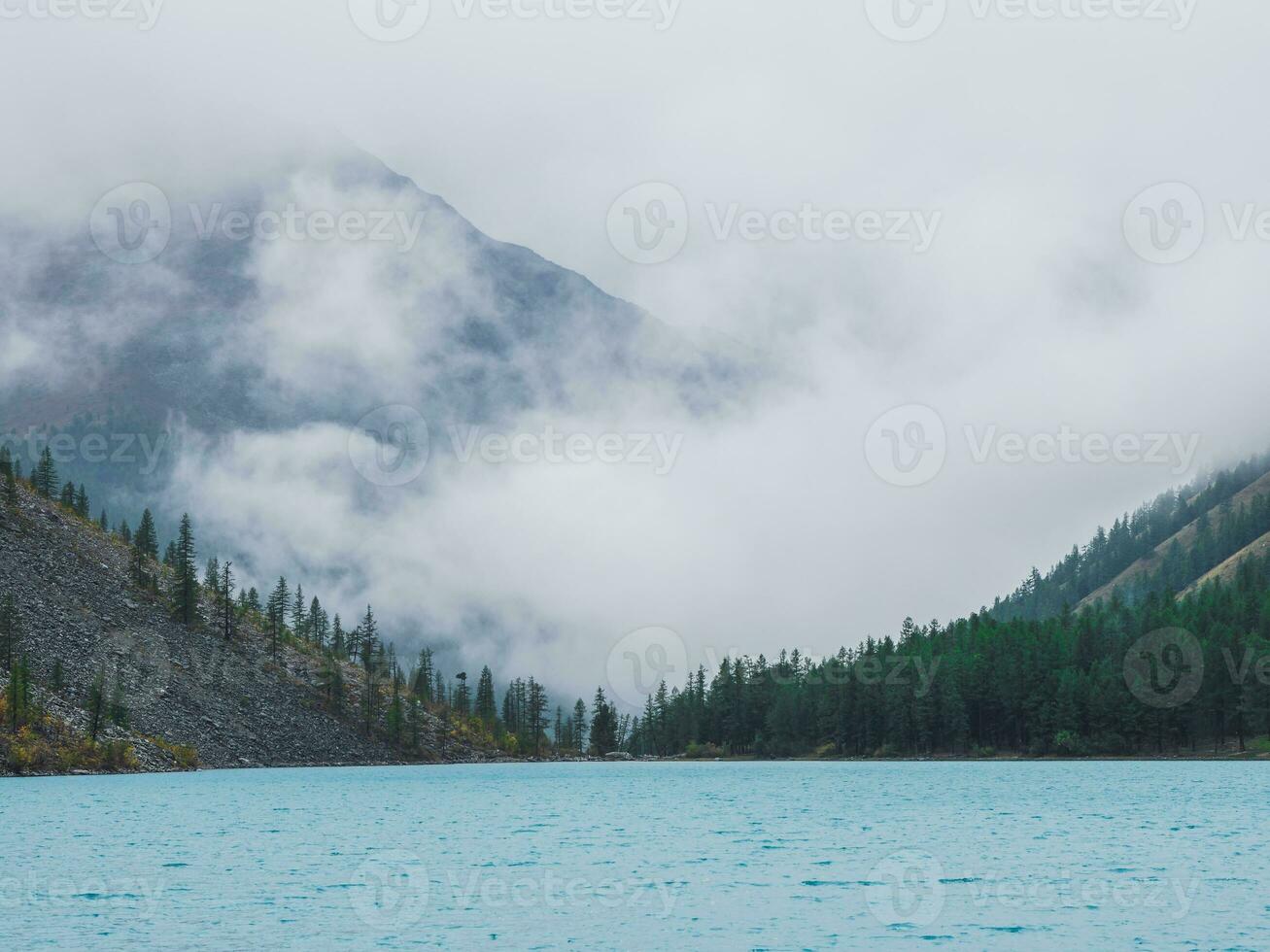 Silhouettes of fir hillside along mountain lake in dense fog. Reflection of coniferous trees in blue water. Alpine tranquil landscape at cool early morning. Ghostly atmospheric scenery photo