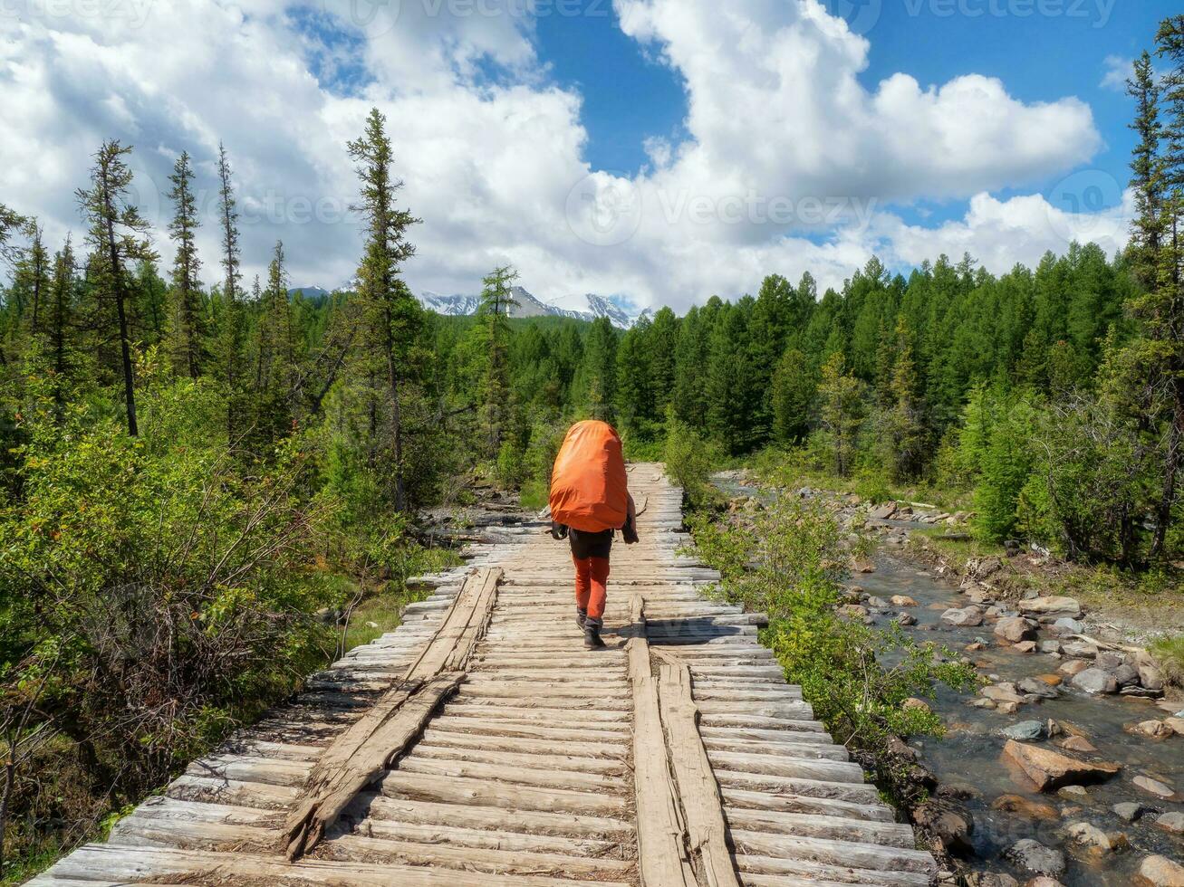 A male tourist with a large orange backpack walks along an old wooden bridge against the background of a coniferous forest and mountains in the distance photo