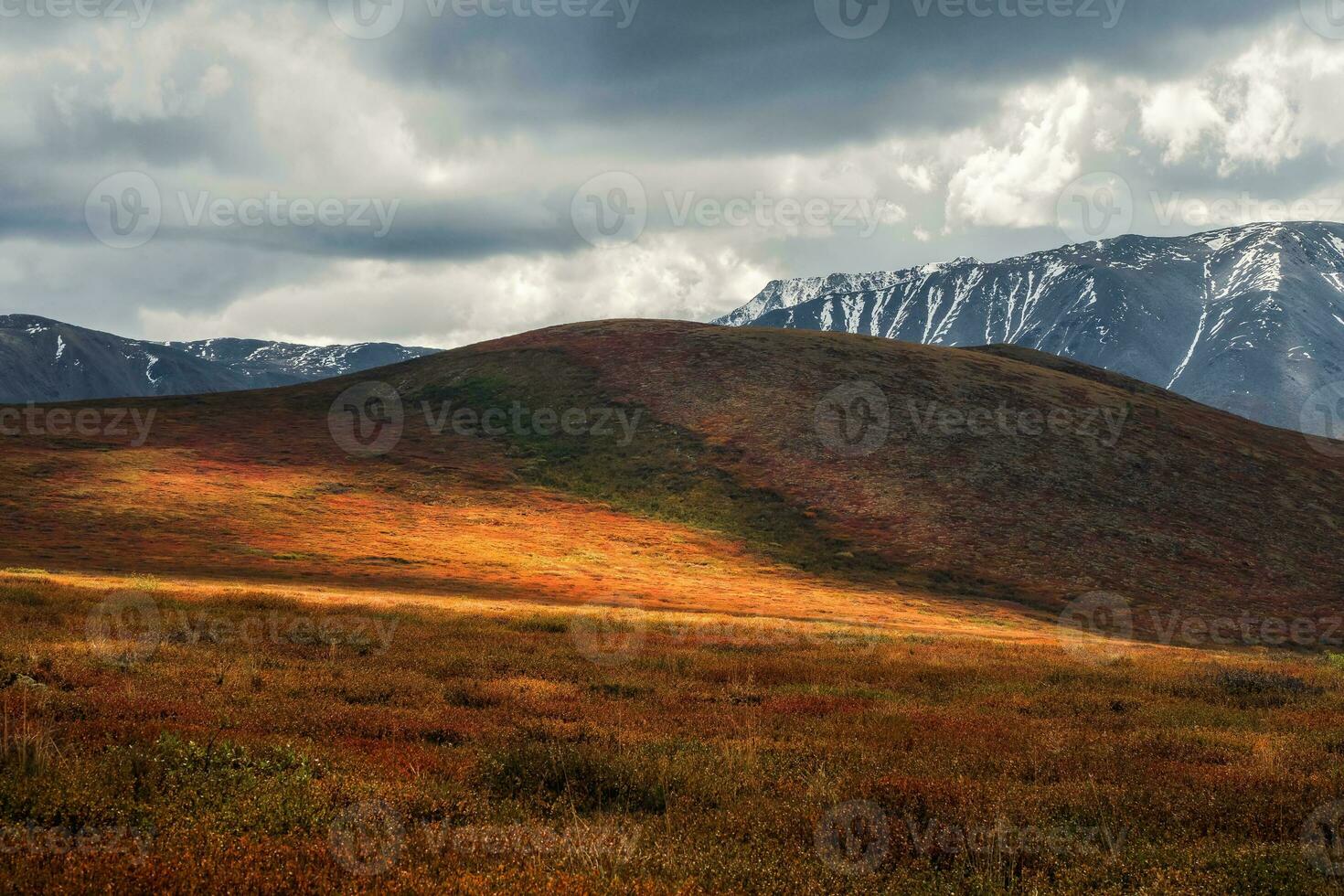 Dramatic golden light and shadow on the rock in autumn steppe. Altai mountains. photo