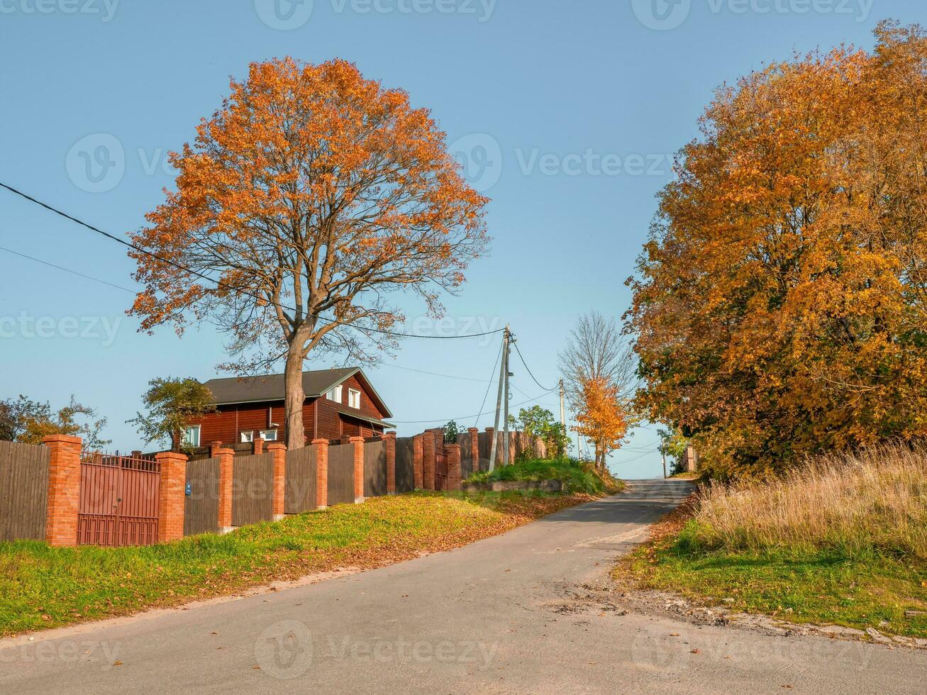 An empty village autumn road with a house behind a fence photo