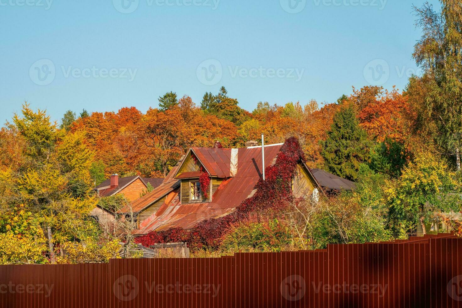 un antiguo de madera casa en brillante otoño follaje detrás un alto rojo cerca foto