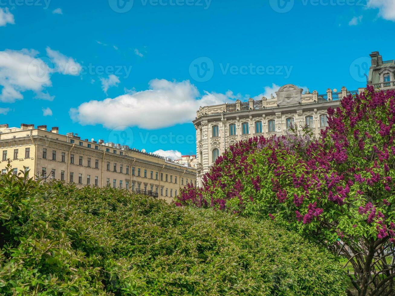 verano ciudad paisaje con floreciente arboles en un antecedentes de urbano arquitectura foto