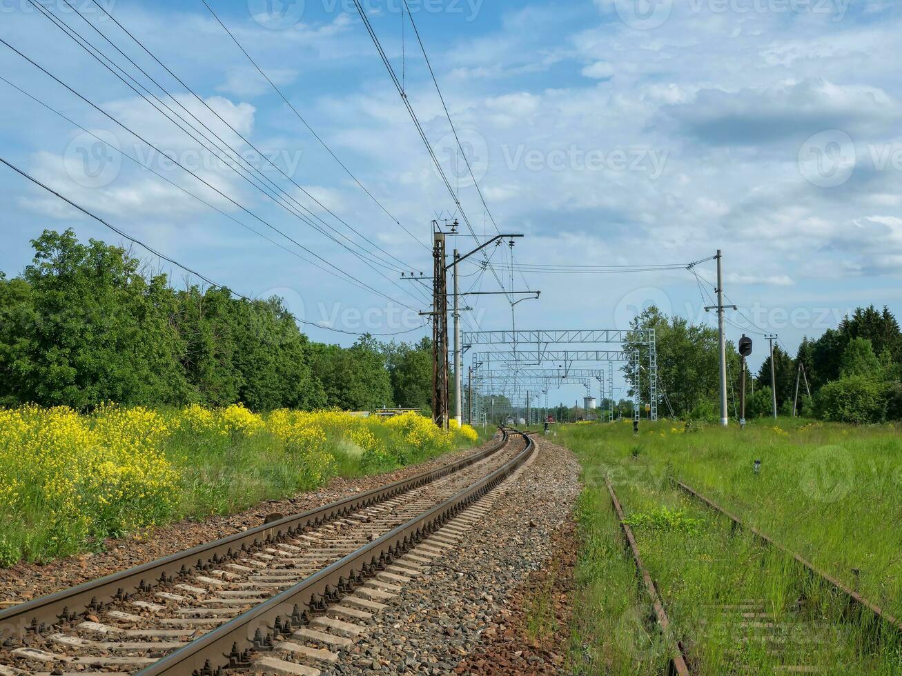 ferrocarril pistas entre amarillo campos, país ferrocarril foto