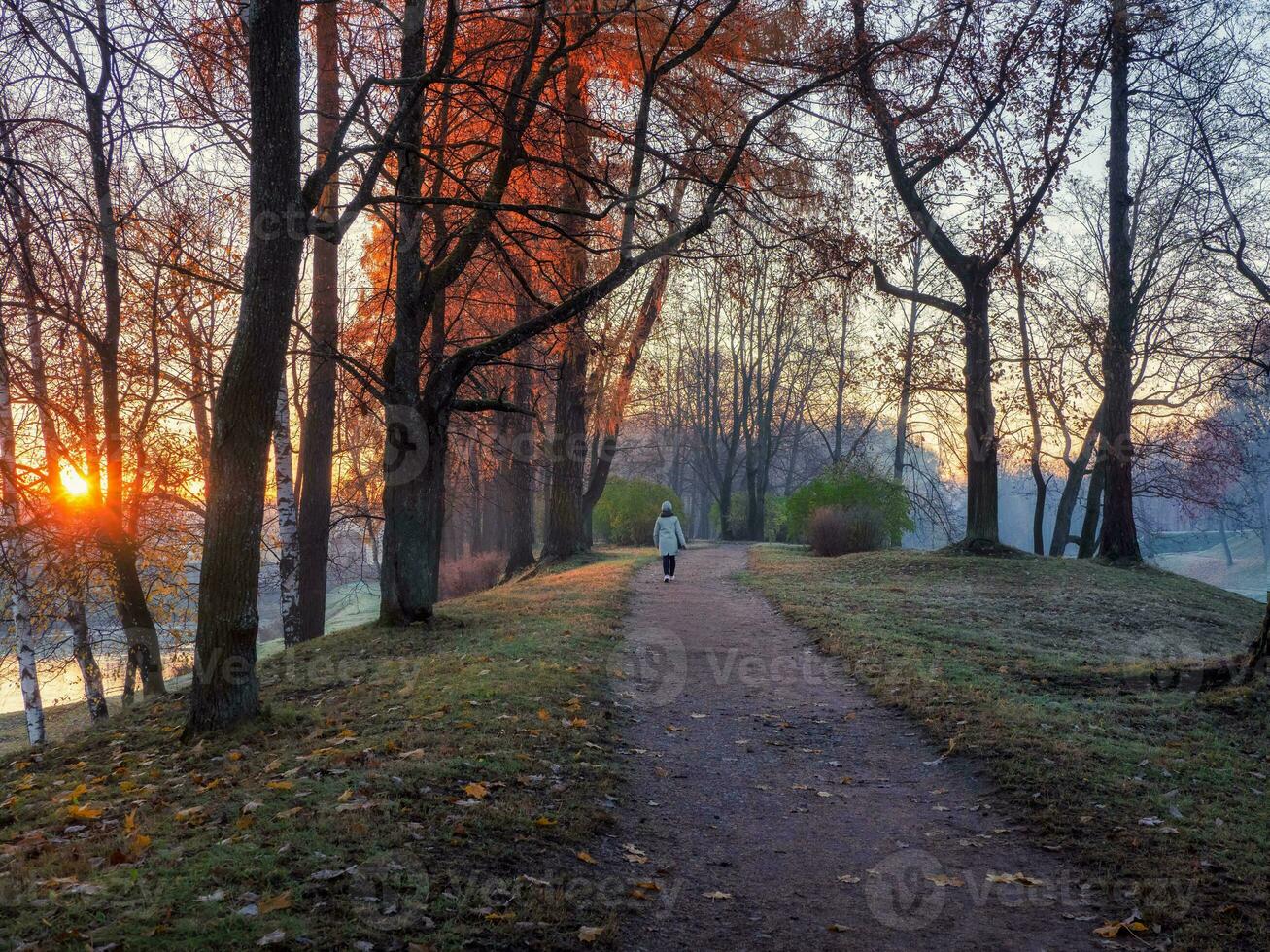 atmosférico otoño Mañana paisaje con amanecer y silueta de un mujer en un devanado la carretera en el parque foto