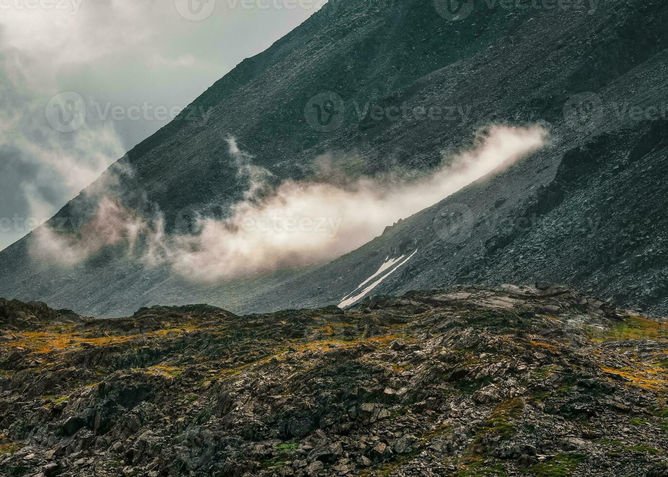 Dark atmospheric foggy mountain landscape. Lichens on sharp stones. Stone field in dense fog in highlands. photo