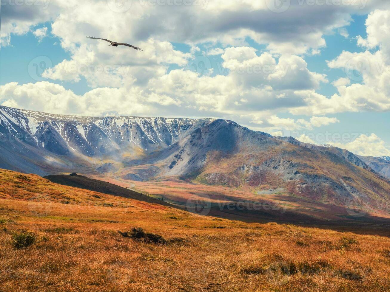 dramático dorado ligero y sombra en el rock en otoño estepa. alta altitud meseta de yeshtykol. altai montañas, Rusia. Siberia. foto