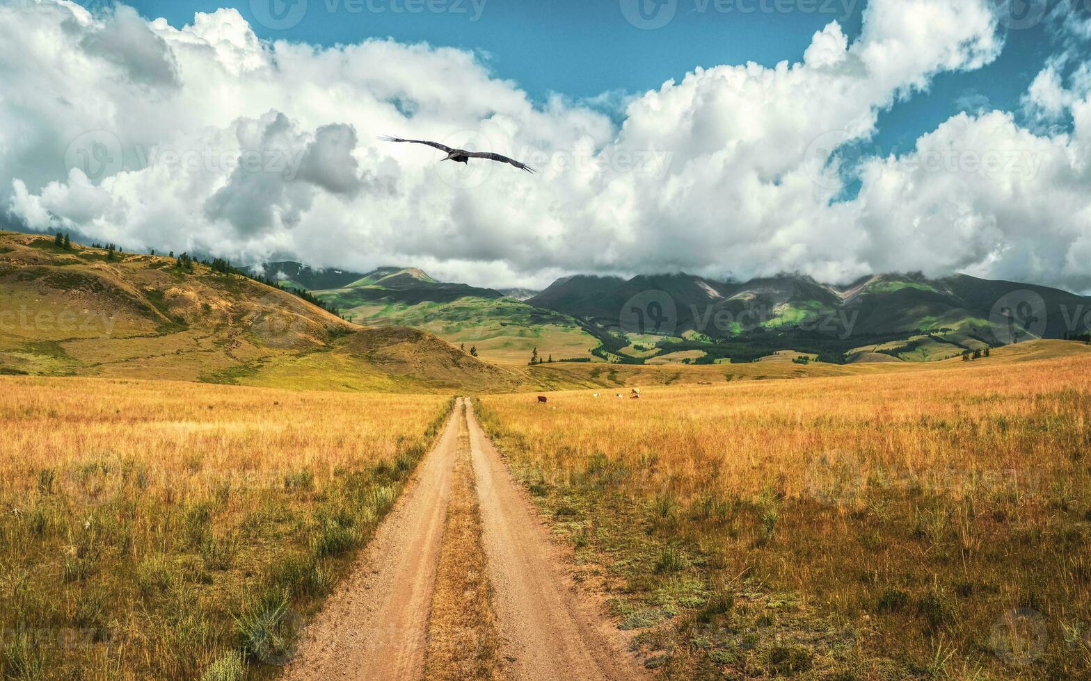 Way through mountains. Trekking mountain trail. Bright atmospheric minimalist alpine landscape with stony footpath among grasses in highlands. Pathway uphill. Way up mountainside. photo