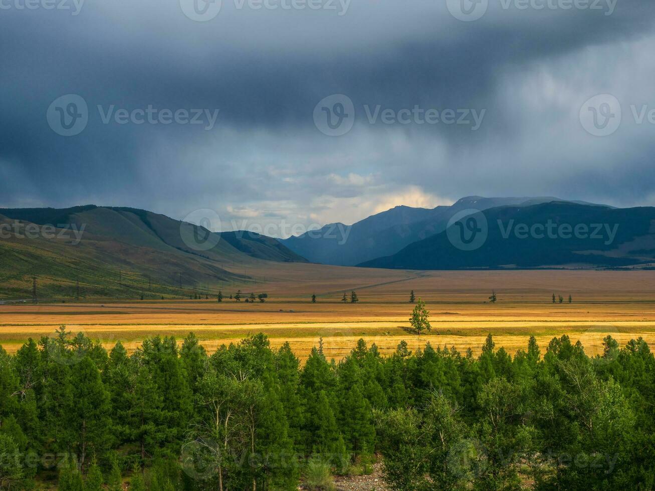 Dark atmospheric landscape with steppe in highlands. Mountains and bright golden field among low clouds. Beautiful cloudy rainy weather in mountains. photo