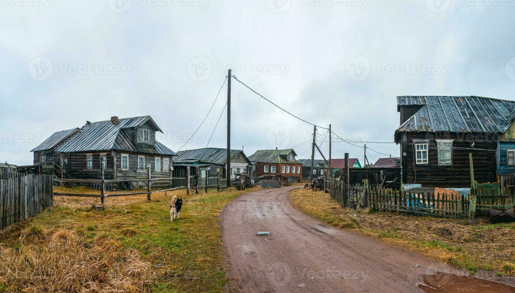 Rural dirt road. A small authentic village on the White sea coast. Kashkarantsy fishing collective farm. Kola Peninsula. photo