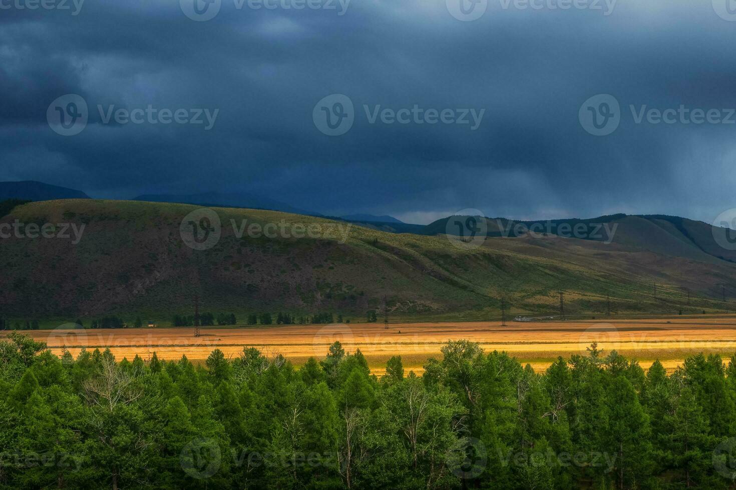 Dramatic landscape with the edge of a coniferous forest and mountains in a light fog. Atmospheric dramatic autumn mountain landscape. Kurai steppe. Altai Mountains. photo