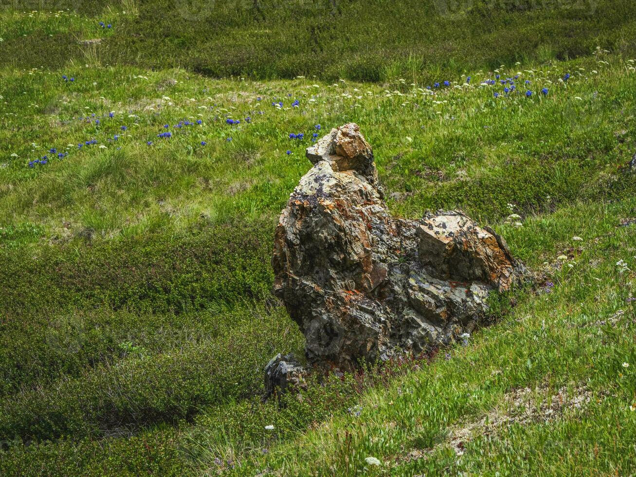 silhouette of a bird, a rooster made of stone. Stone idols, mystical spirits of the mountains locked in stone. Demon in the stone. Mystical Altai Mountains. photo