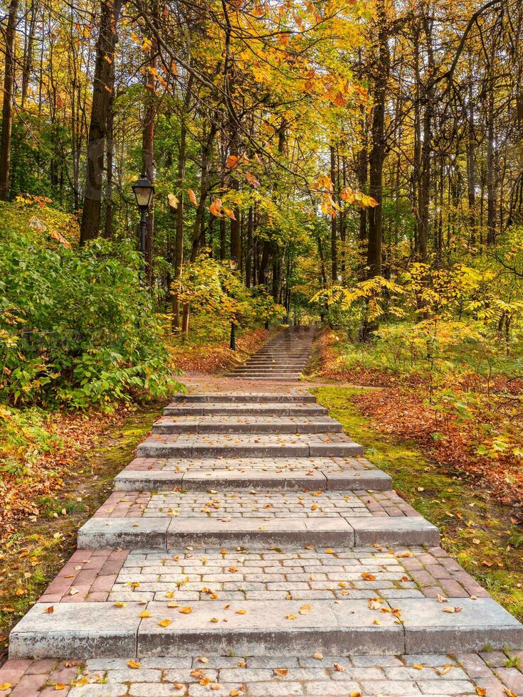 Empty green ecological path in autumn, bottom-up view. Fallen red leaves on the trail. photo