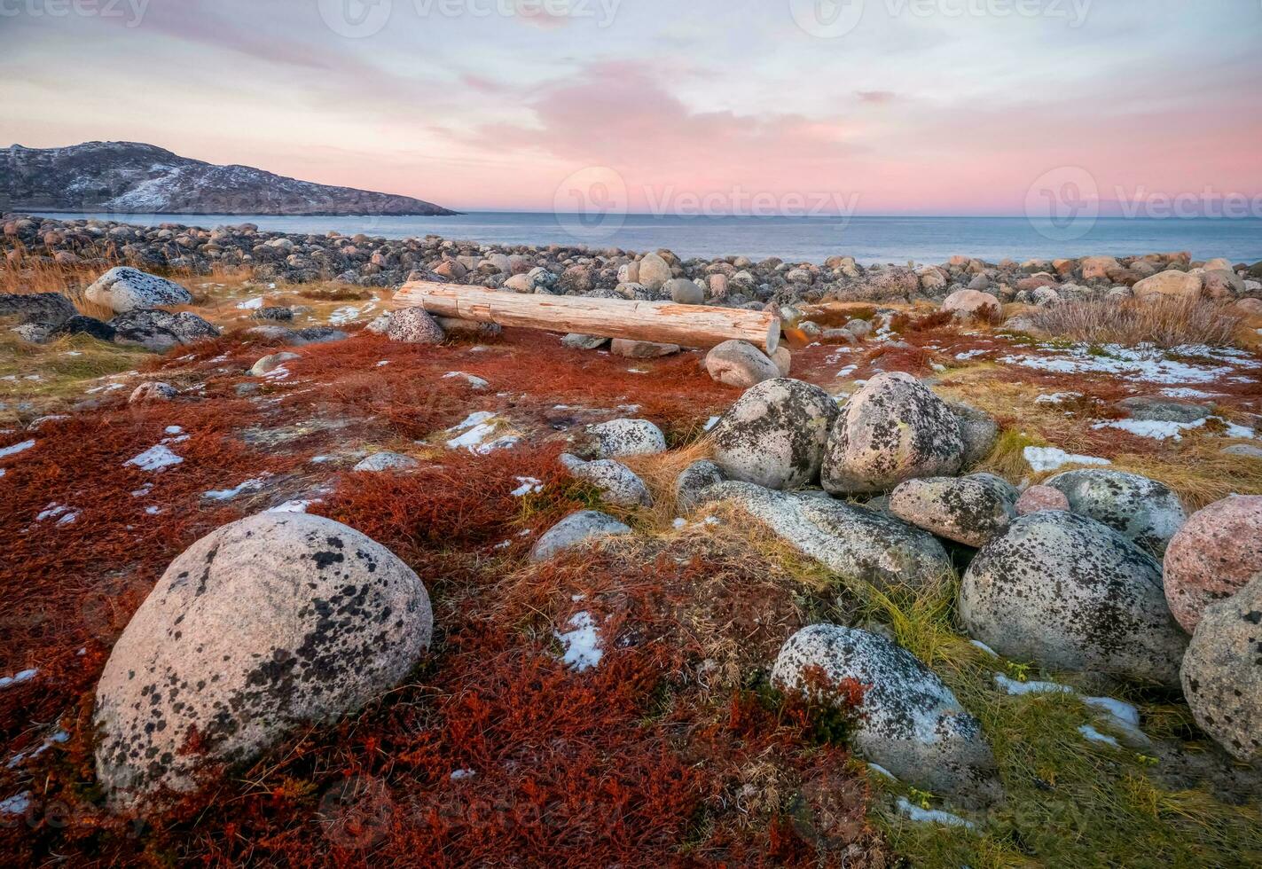 Bench on the shore of the Barents sea. The surface of the beach on the north ocean is covered with large polished round stones of gray color of different sizes. photo