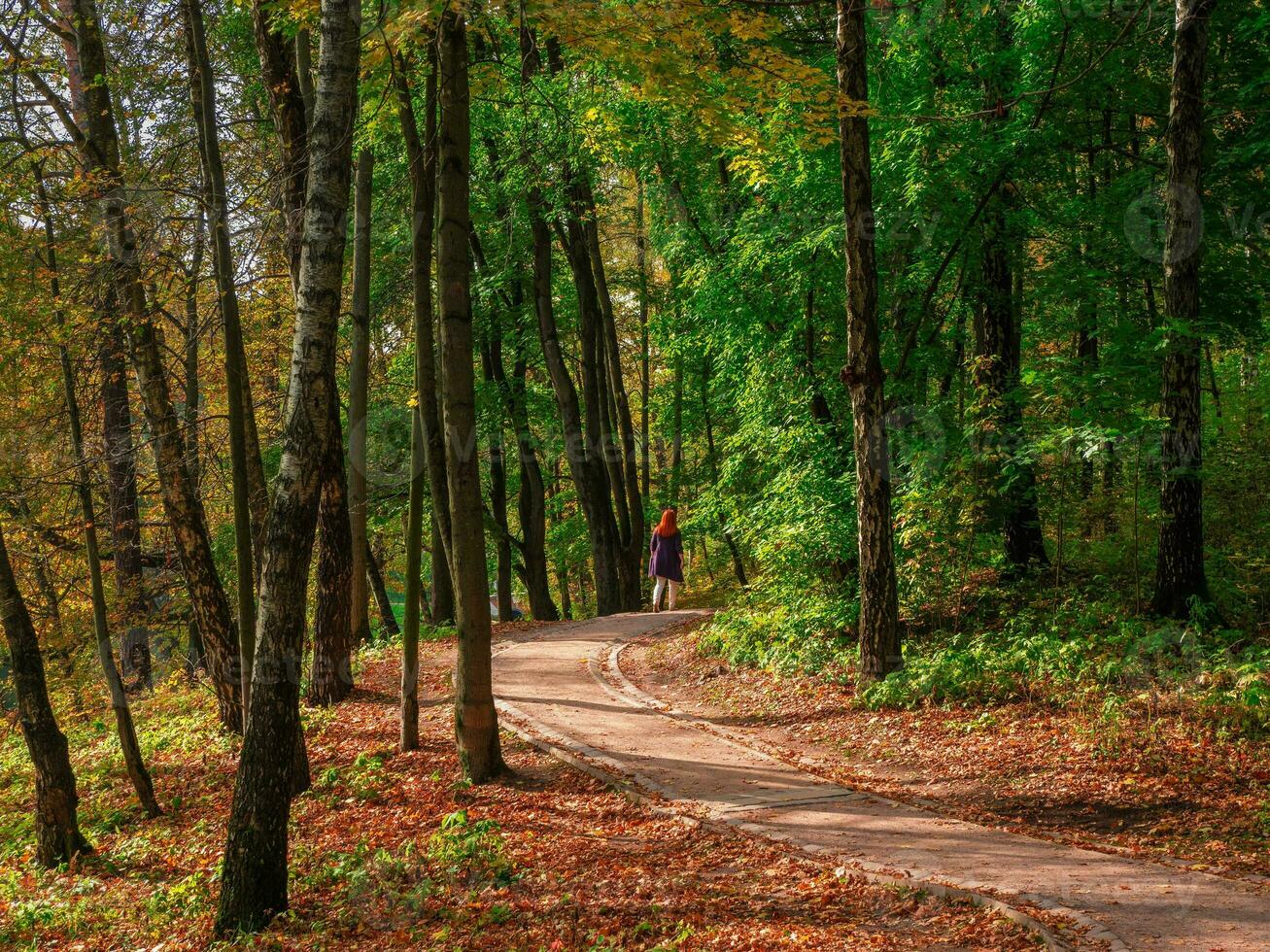 Beautiful autumn trail with a walking figure of a woman on it in a sunny park. photo