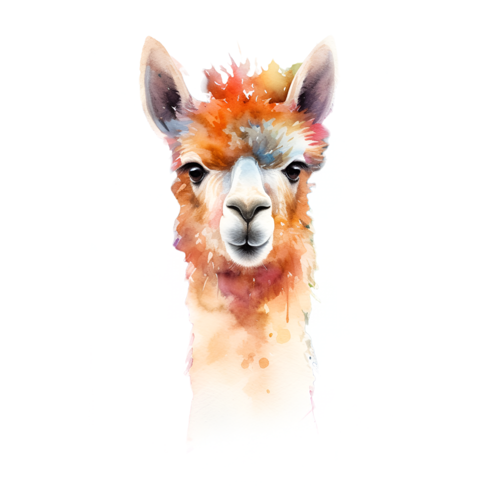 Alpaca Watercolor Clipart png