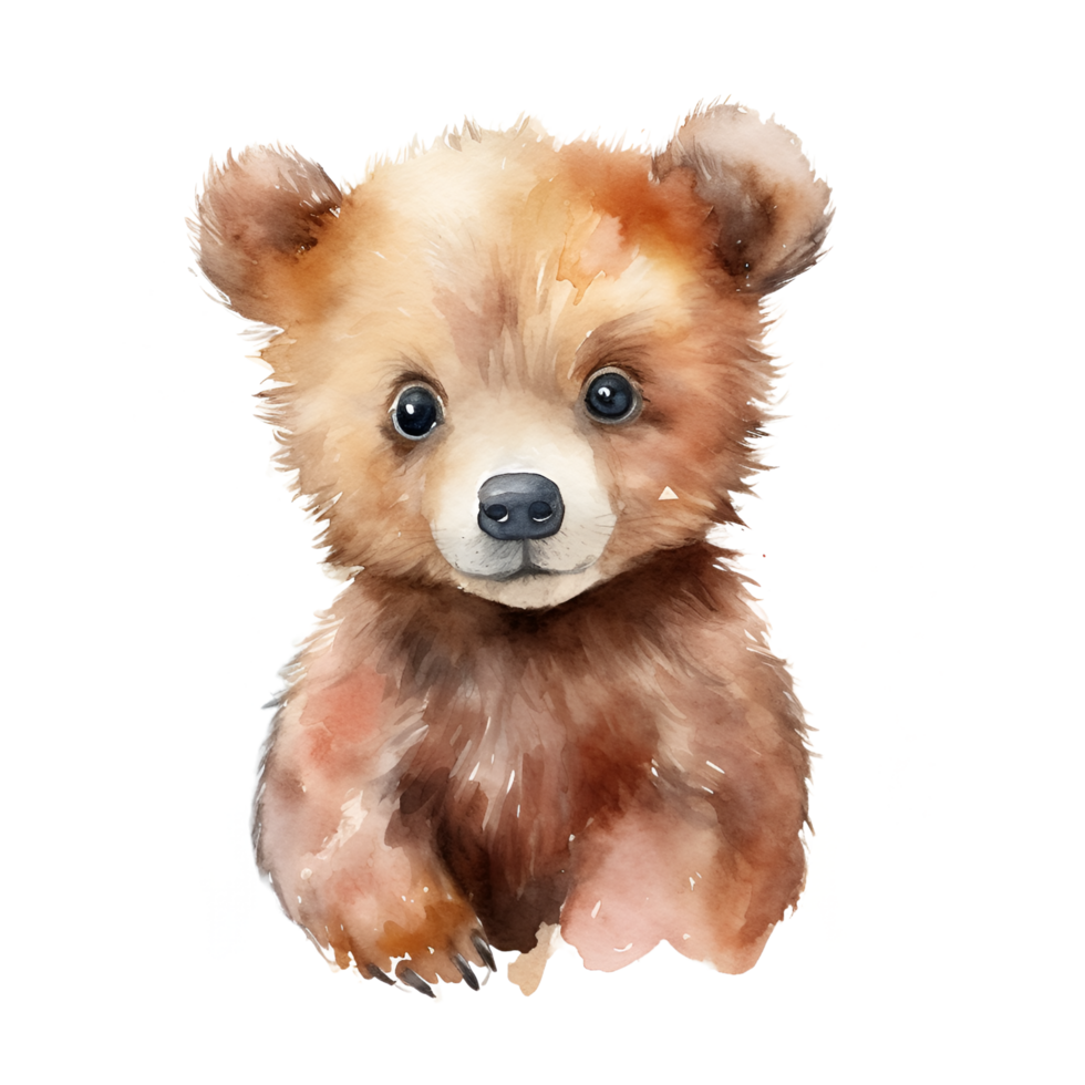 Brown Bear Cub Watercolor Clipart png