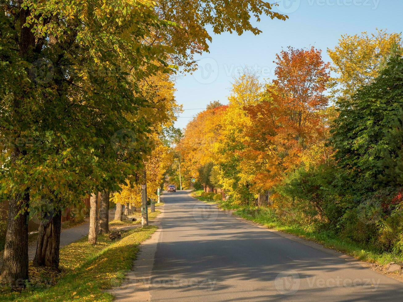 pueblo en otoño. ruso pueblo la carretera. pavimentado la carretera mediante el dacha pueblo en el otoño foto