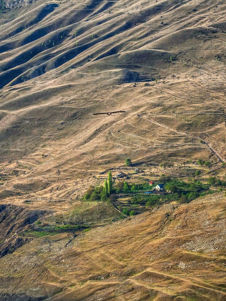 Mountain texture, mountain terrain. Small green oasis by the big red bare mountains. photo