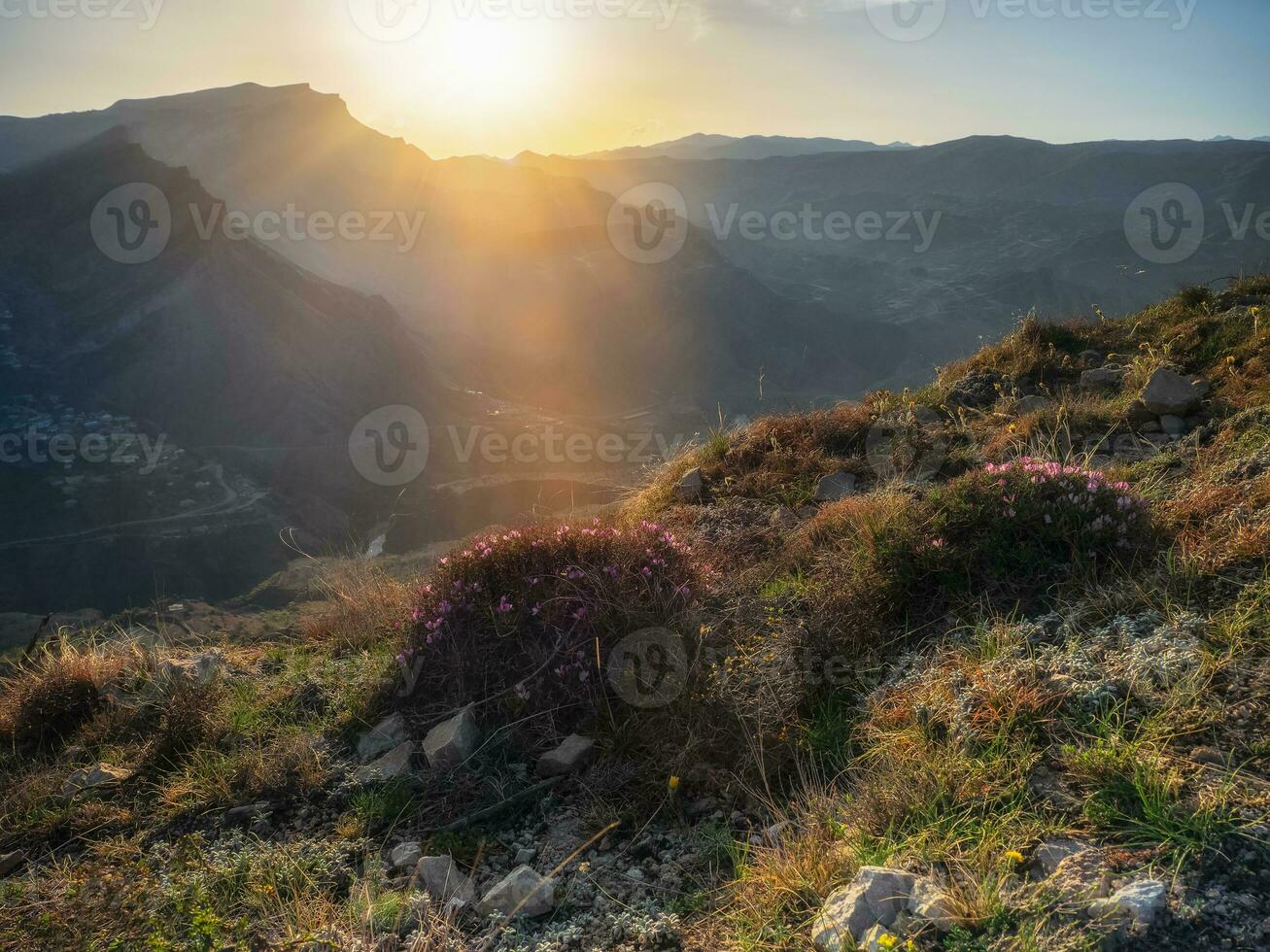 noche en el montañas. puesta de sol rayos de el Dom otoño en el montaña pendientes cubierto con salvaje floración arbustos foto