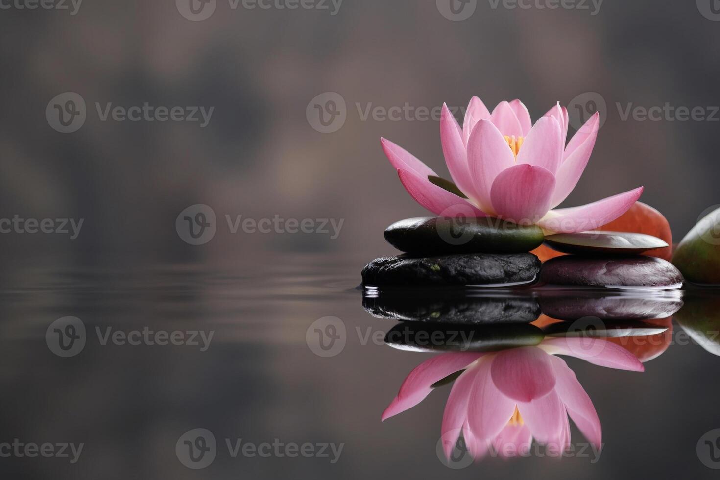 lotus flower with stone on the water ai generate photo
