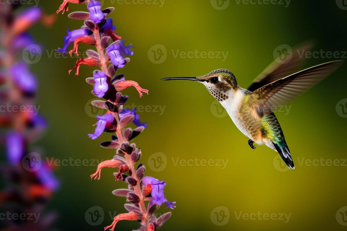 Portrait hummingbird with flower ai generate photo